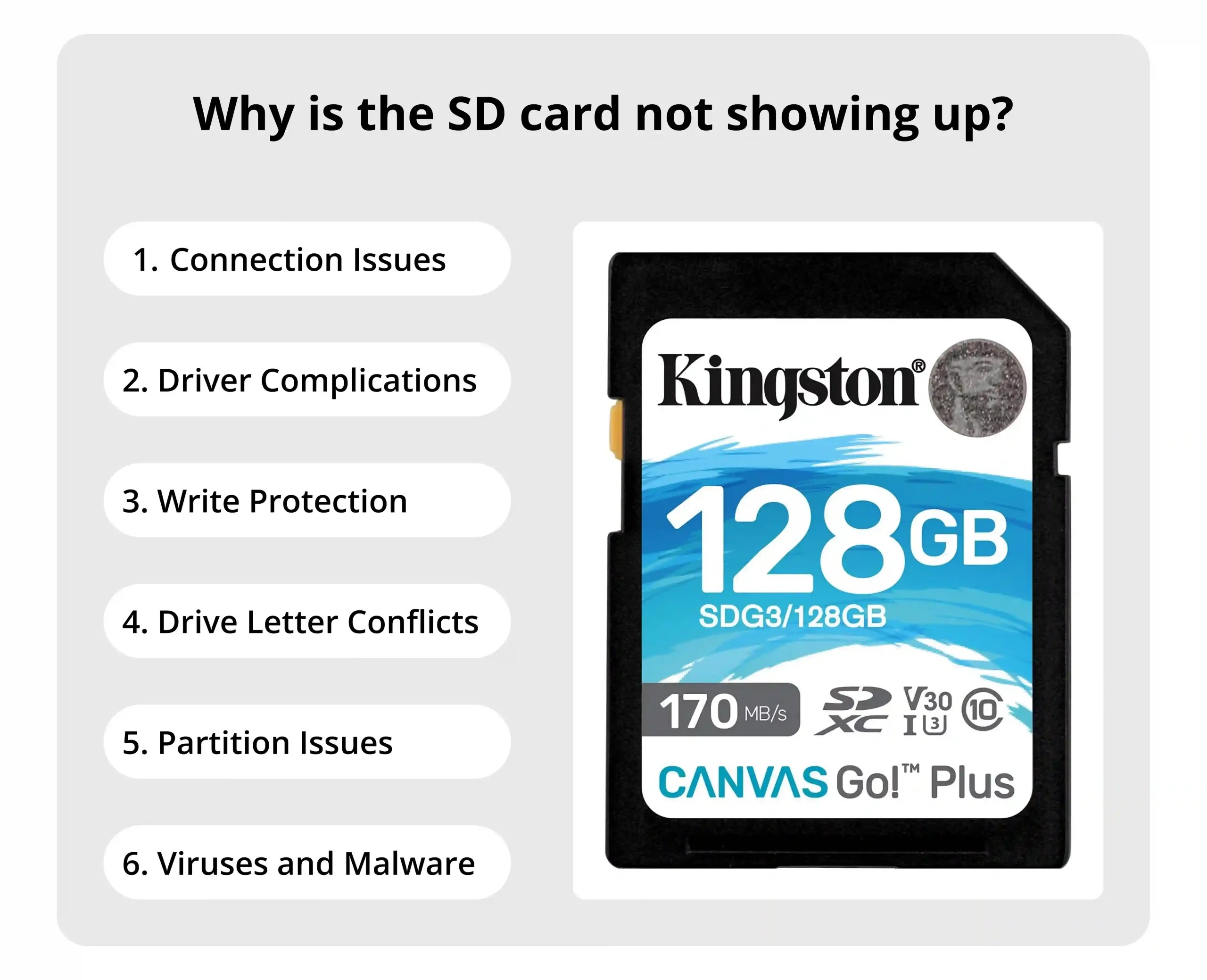 SD Card Not Showing Up? Here's What You Can Do