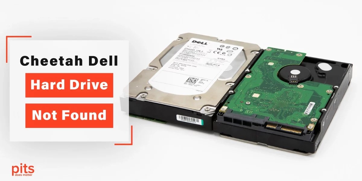 Dell Hard Drive Not Found Our Data Recovery Process