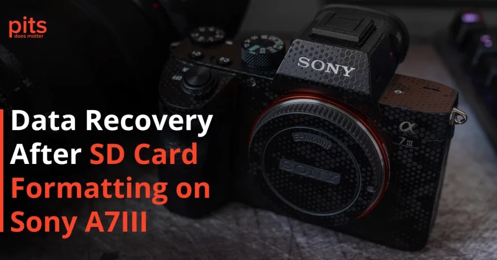 Successful Data Recovery After SD Card Format on Sony A7III