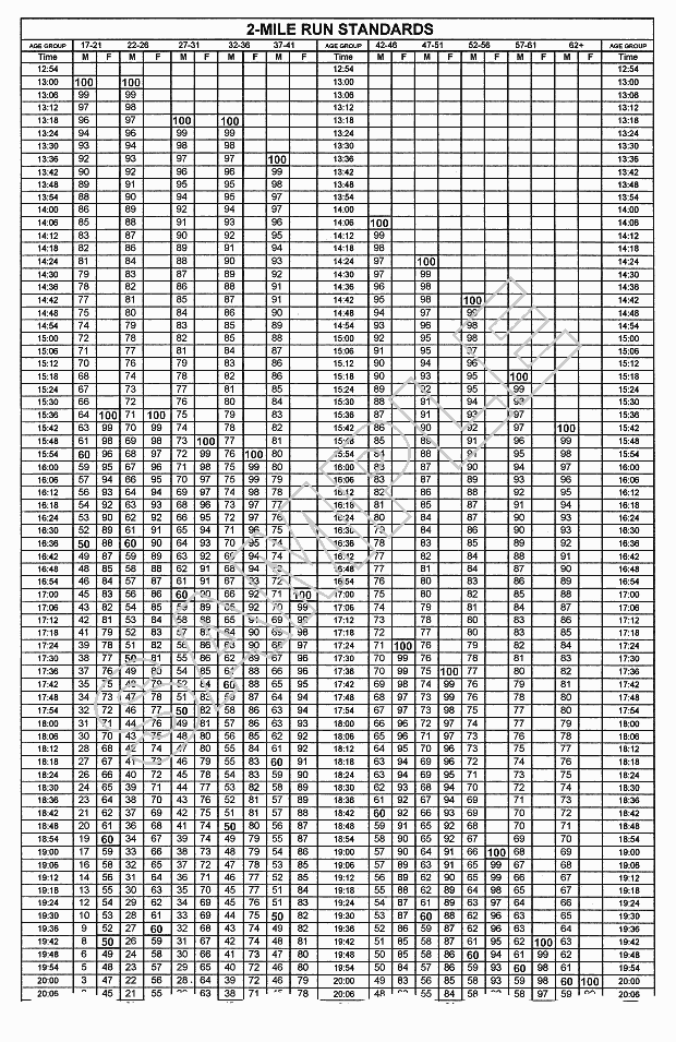 Viteri blog army pt standards
