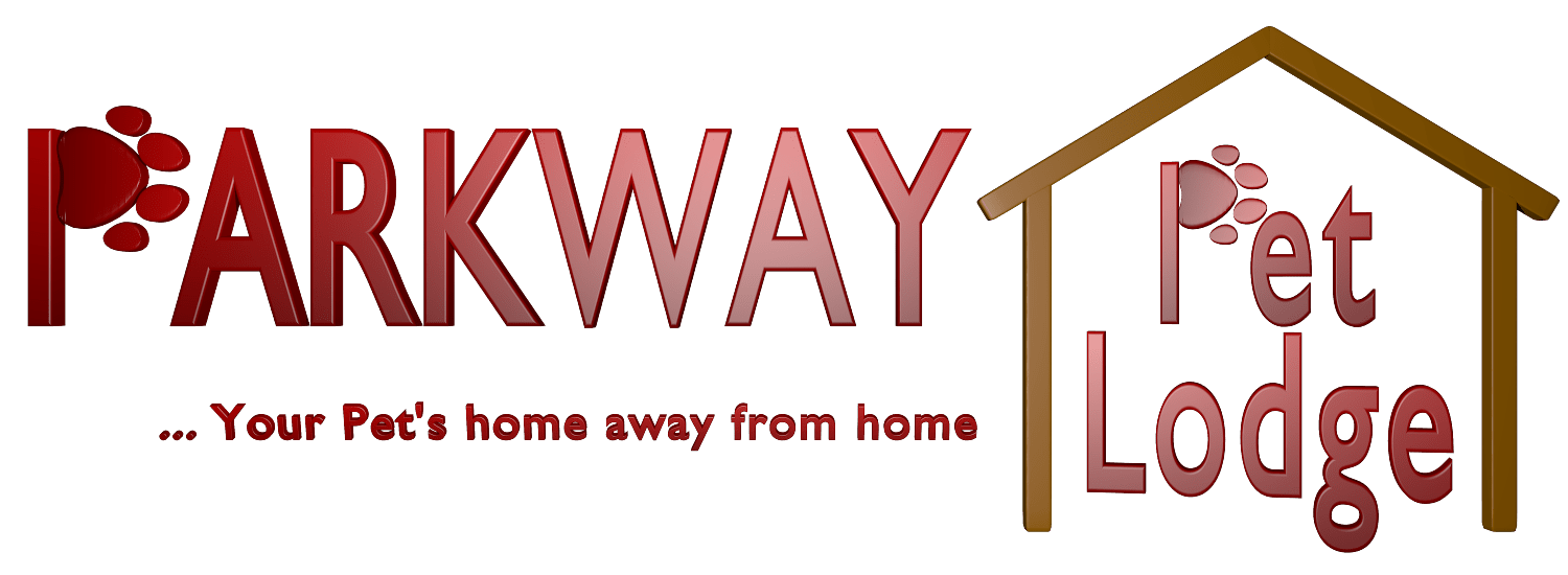 Pittsburgh Pet Hotel Pittsburgh's Premier Pet Hotel Dog, Cat