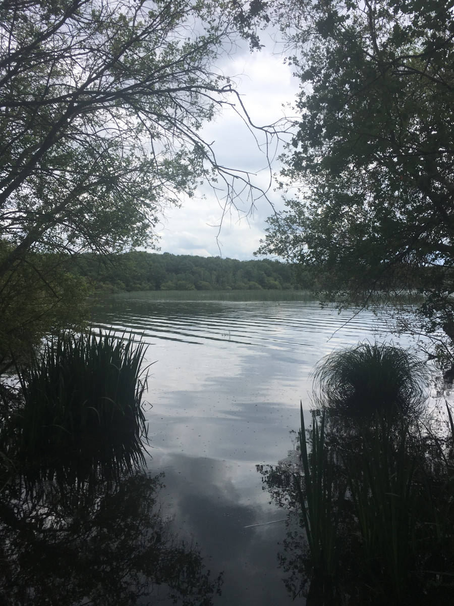 Randonnée autour de l'étang des Noues à Cholet Avis et photos d'un local