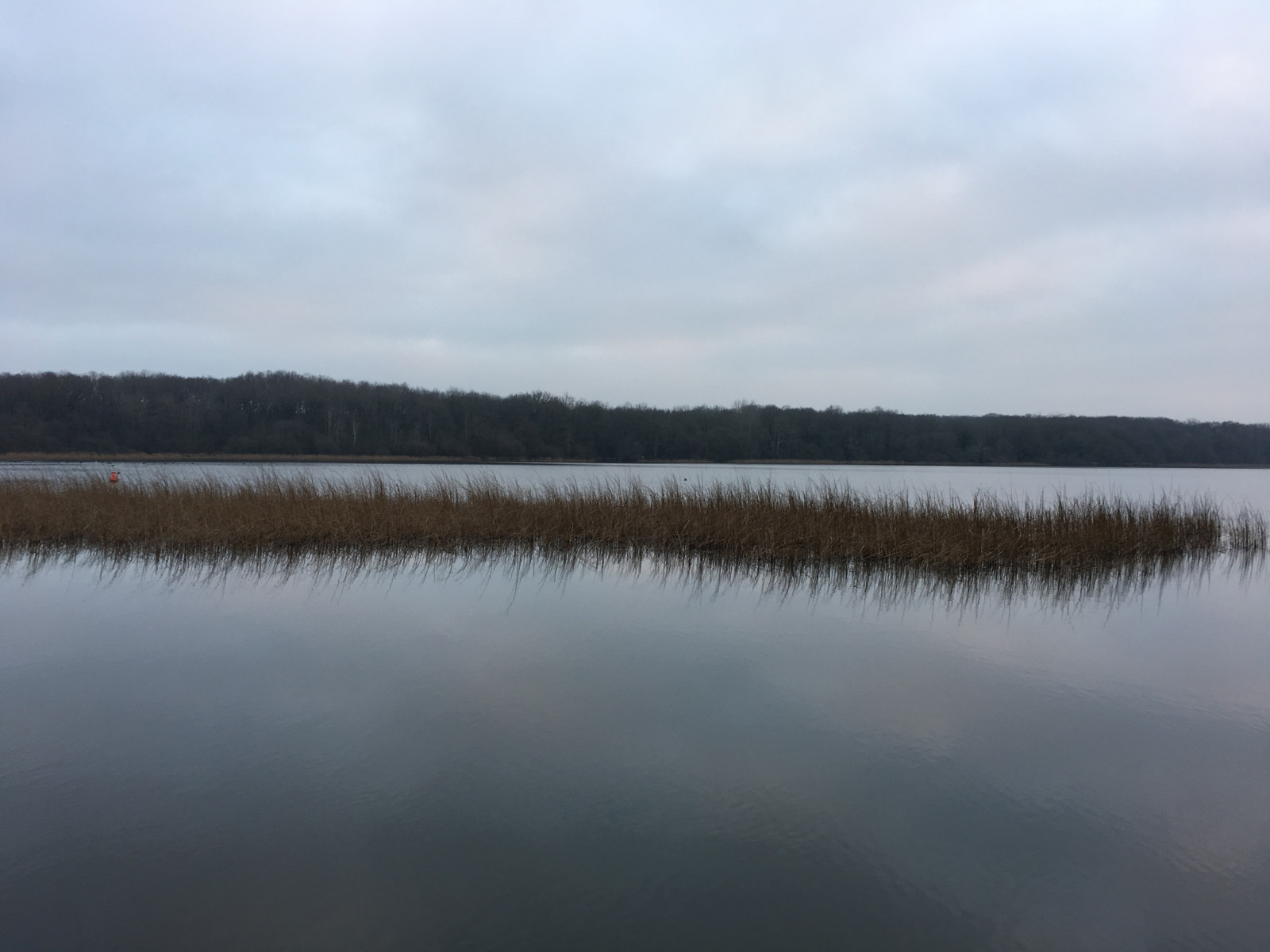 Randonnée autour de l'étang des Noues à Cholet Avis et photos d'un local