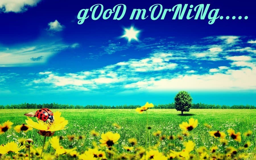 Free Good Morning Wallpapers Download