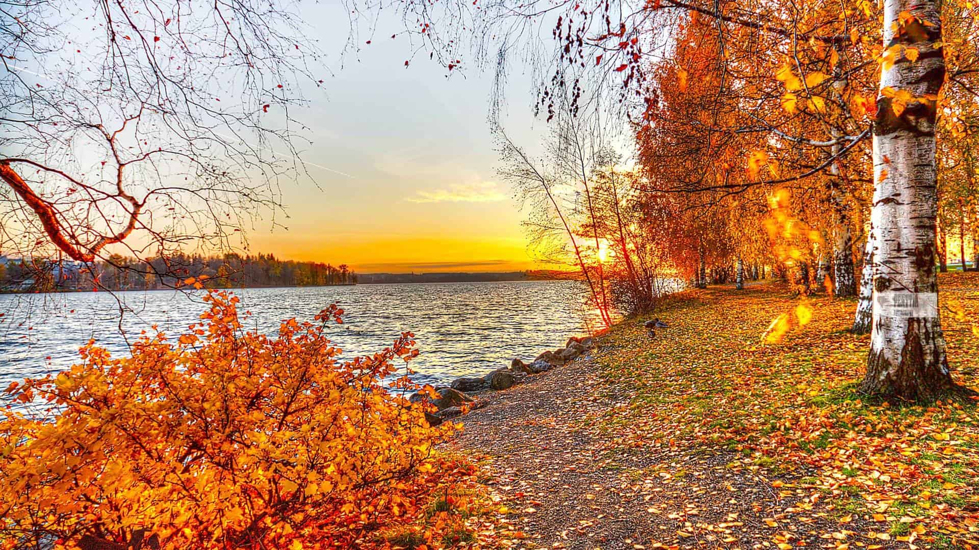 Fall Wallpapers HD