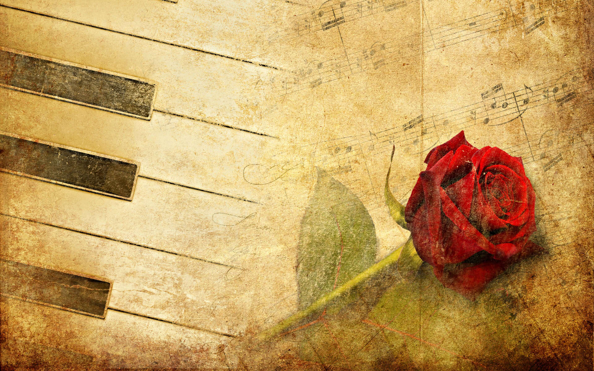 Free Download Music Note Backgrounds