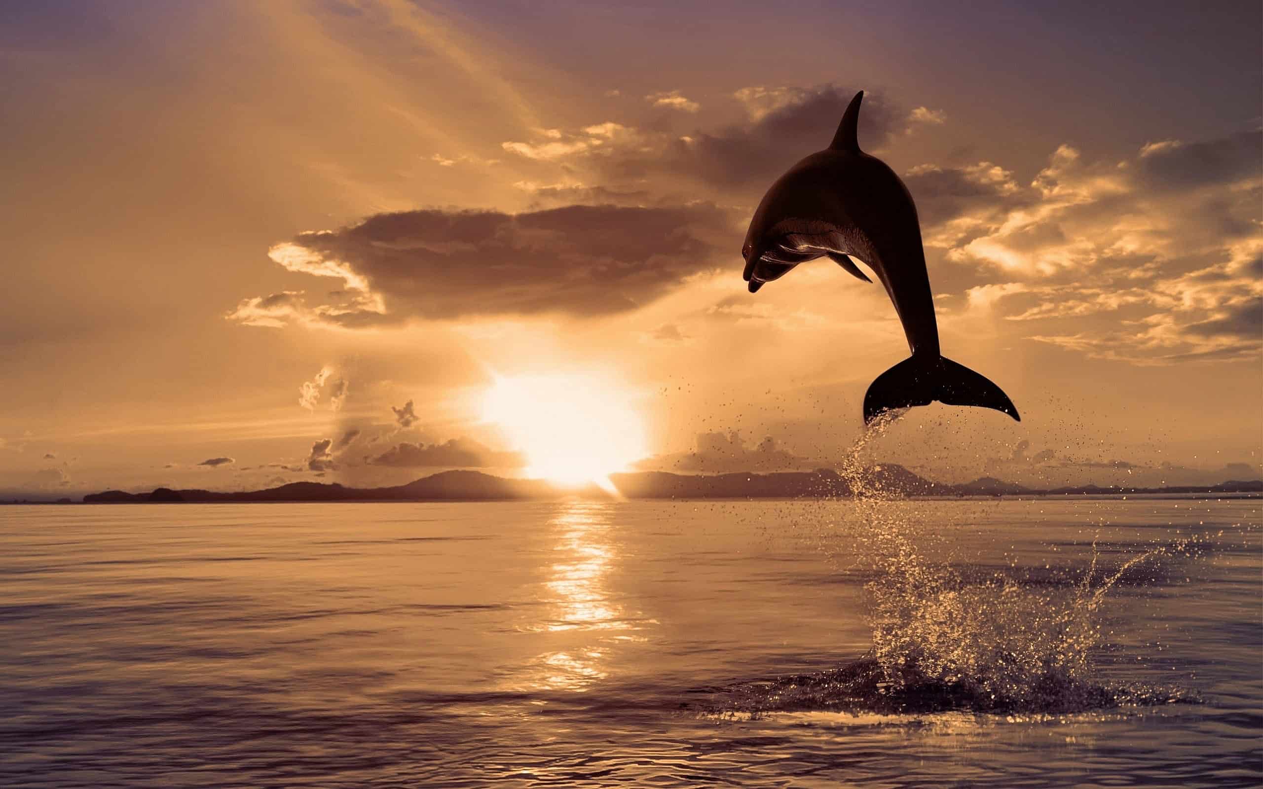 Sunrise Wallpapers HD