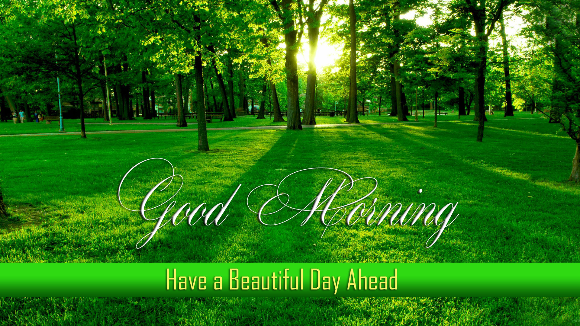 Best And Beautiful Backgrounds