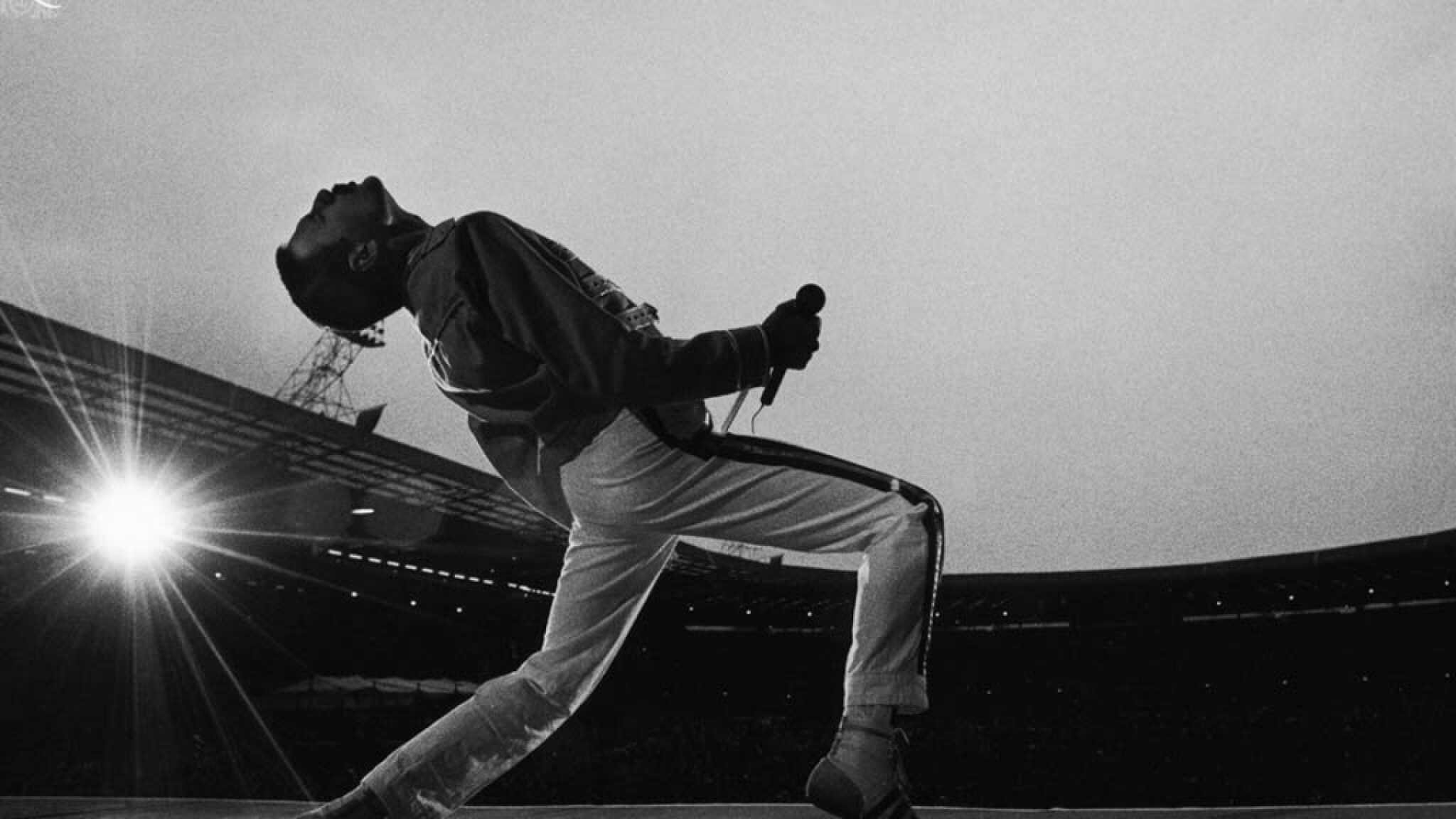 Freddie Mercury Wallpapers HD