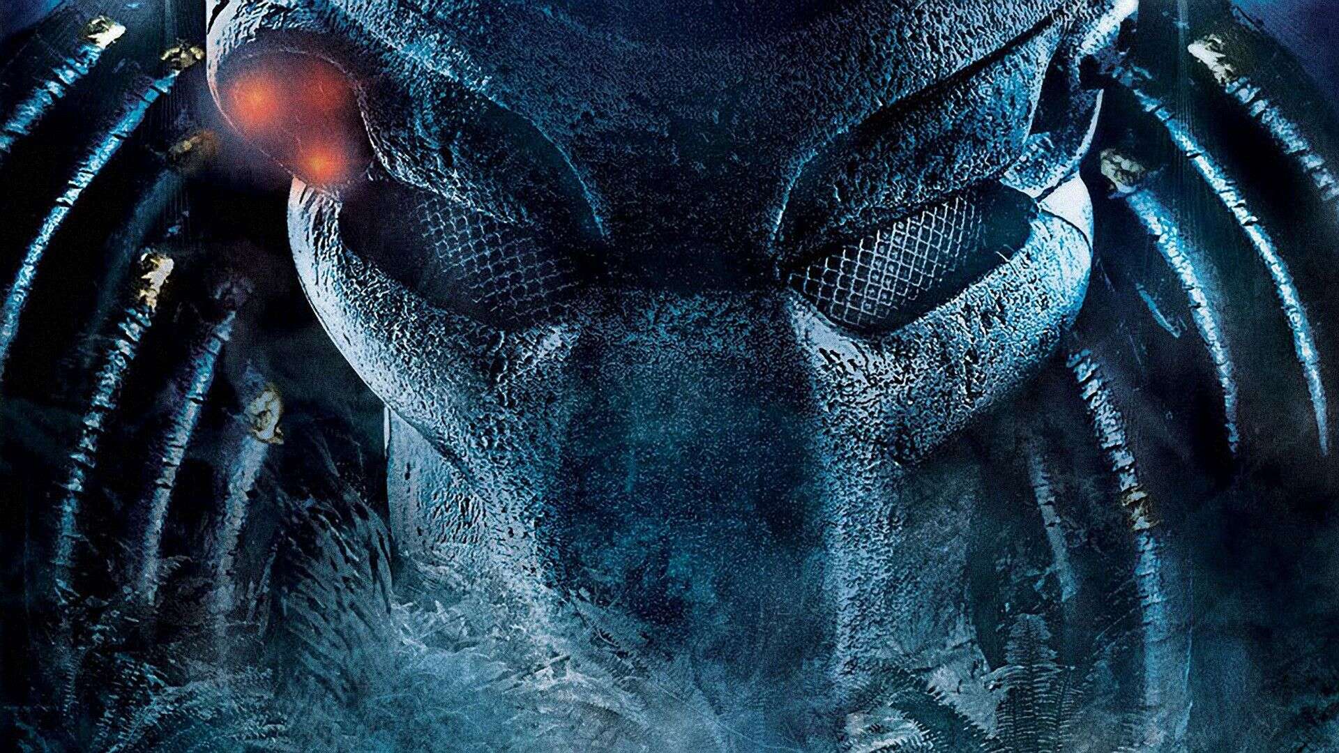 Free Download Alien vs Predator Wallpaper
