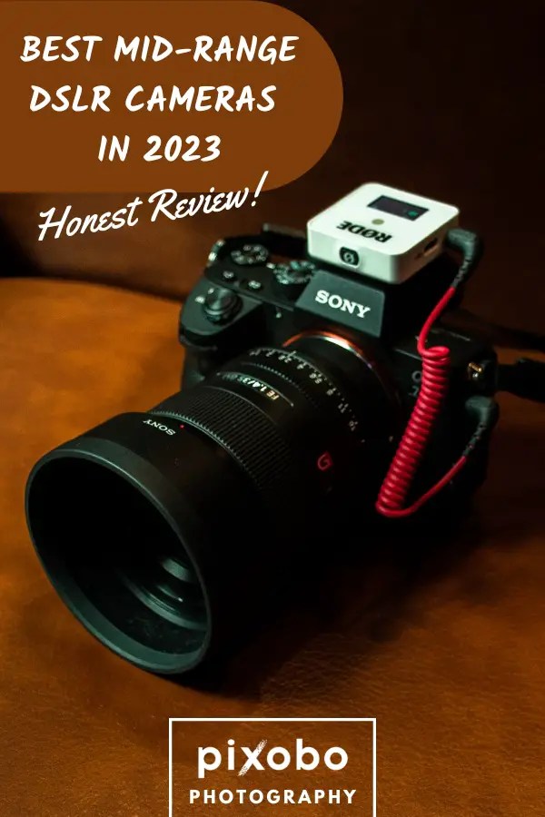 Best MidRange DSLR Cameras in 2024 Pixobo Profitable Photography