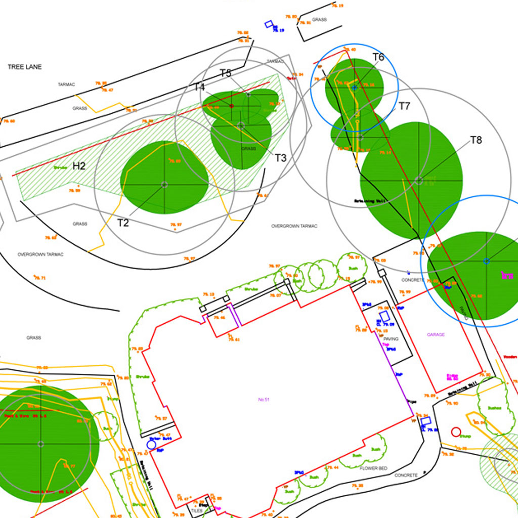 Tree Protection Plans & Measures Protect Trees During Construction