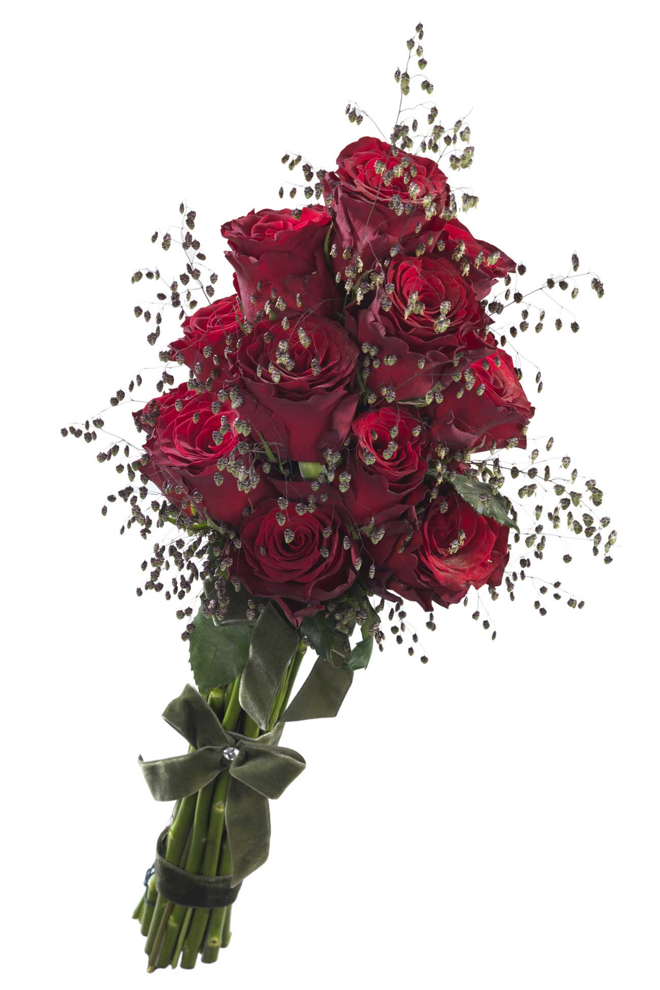 Rhodos Roses The red rose with the longest vase life