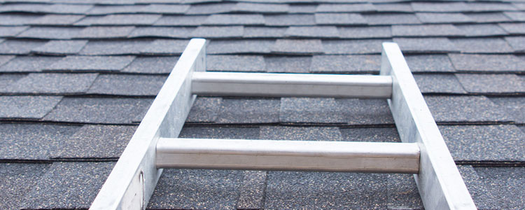 Everything You Need to Know About Roof Replacement Costs PJ Fitz