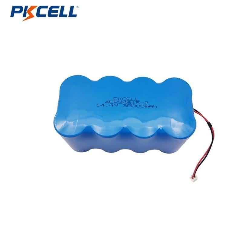 Personalised Battery Pack PKCELL Battery