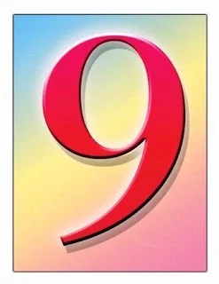 9 Anni Di Placido Blog Placida Signora