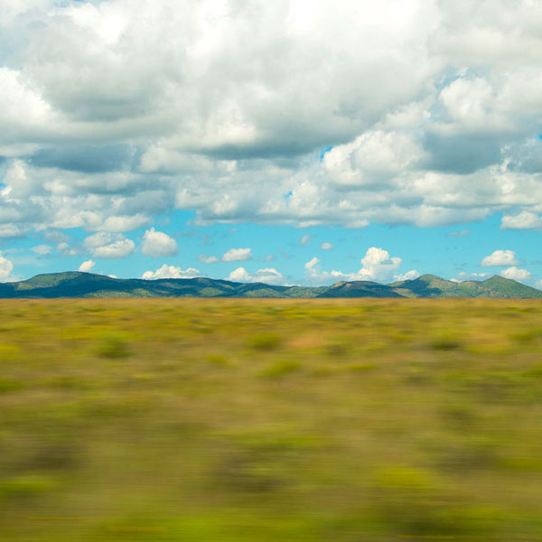 Placitas Studio Tour Dana Patterson Roth