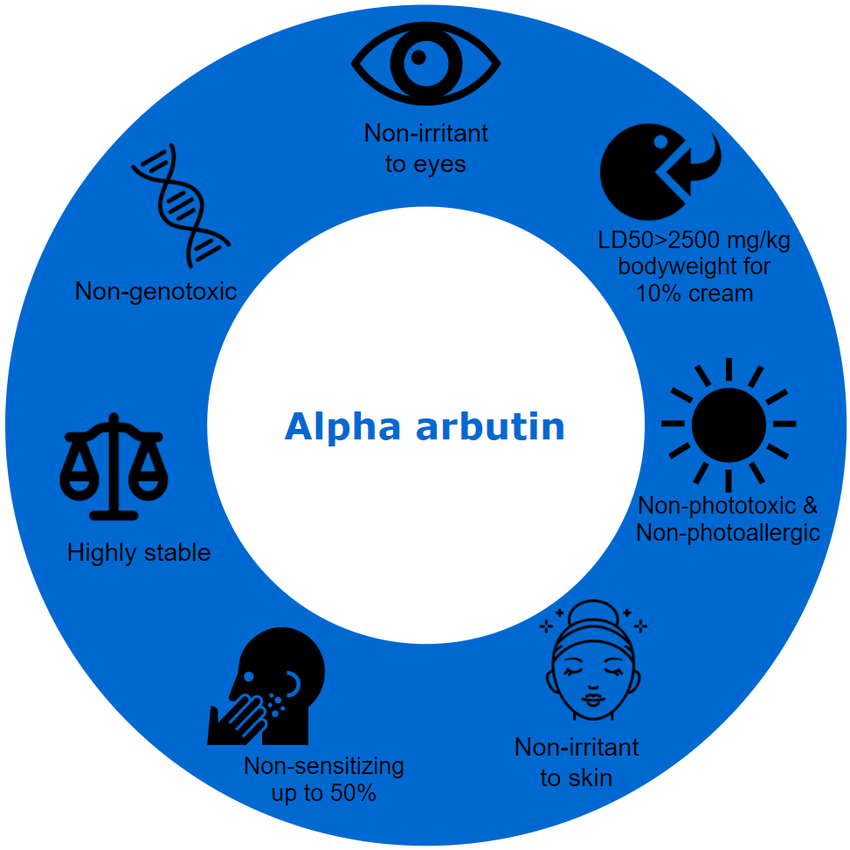 Alpha Arbutin Benefits for Skin Lightening Plamed Group