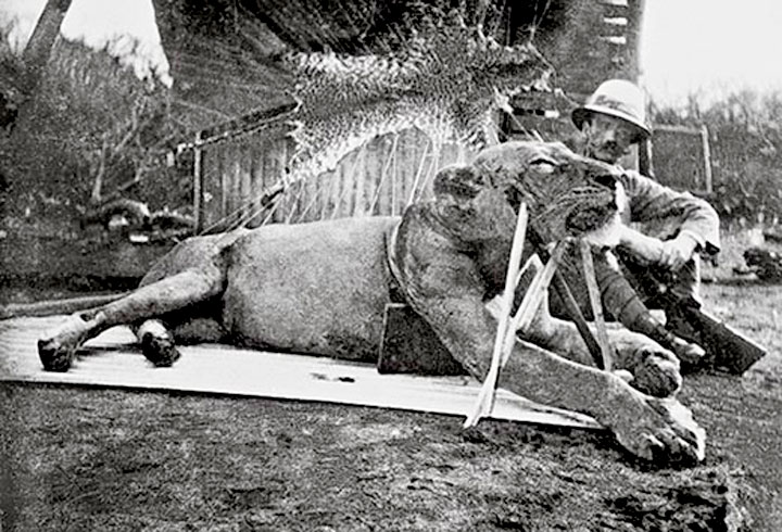 10 Deadliest Man Eating Animals
