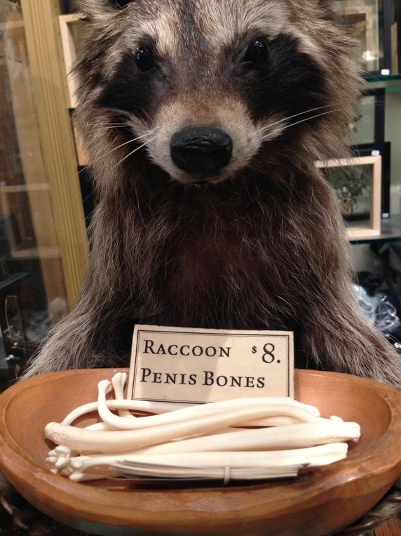 Strangest Christmas Gifts 9 Strangest Christmas Gifts People Have Received Dolan