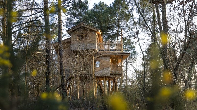 Dormir dans les arbres