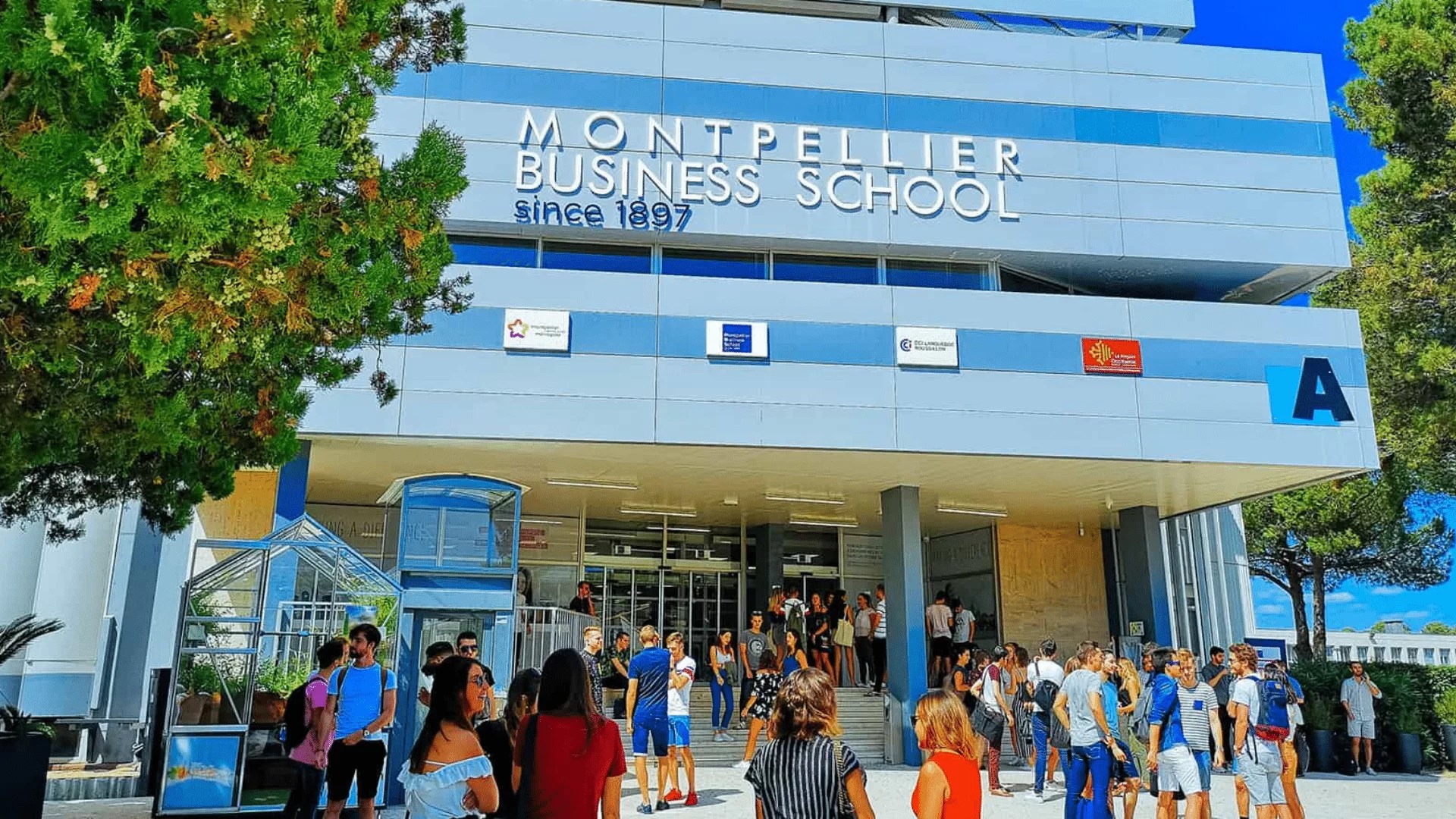 MBS crée une chaire dédiée à la transformation durable de l’économie et