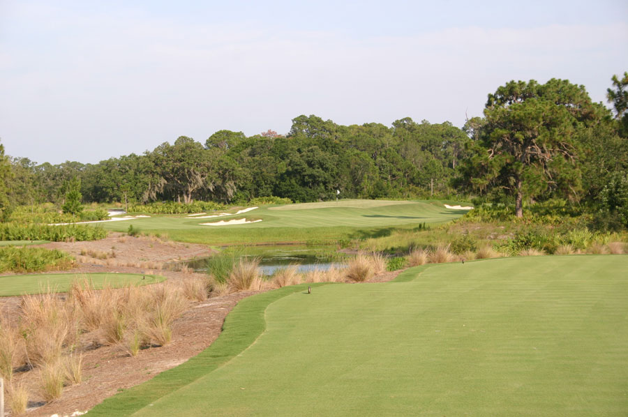 The Concession Golf Club Golf