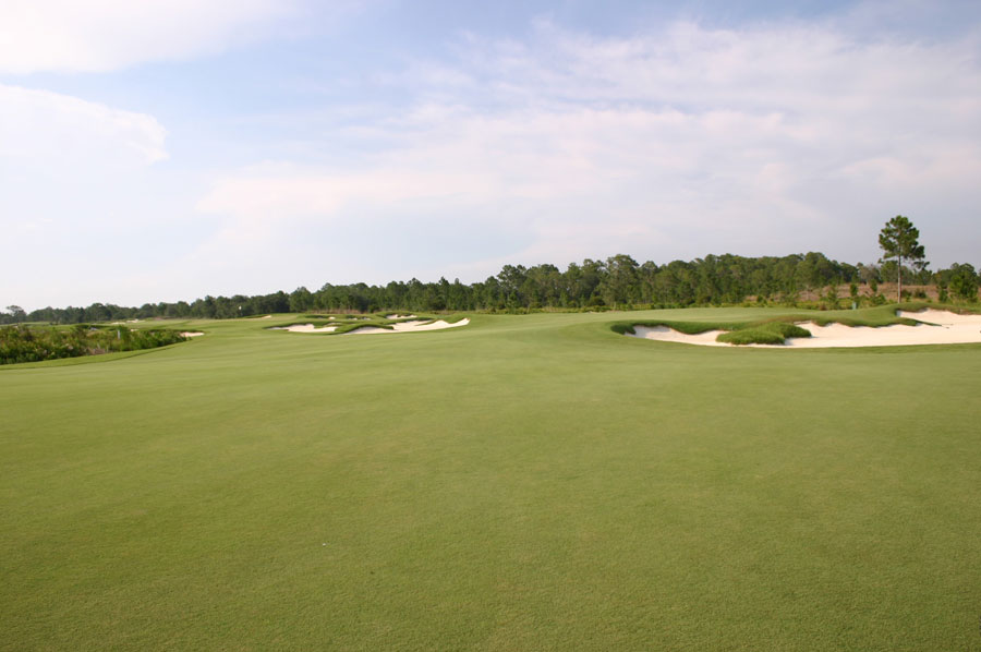 The Concession Golf Club Golf