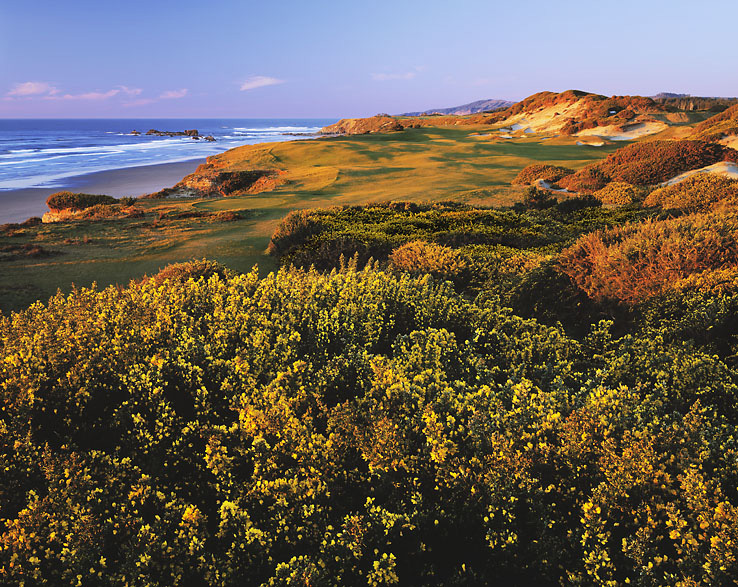 Bandon Dunes Golf Resort Pacific Dunes Golf