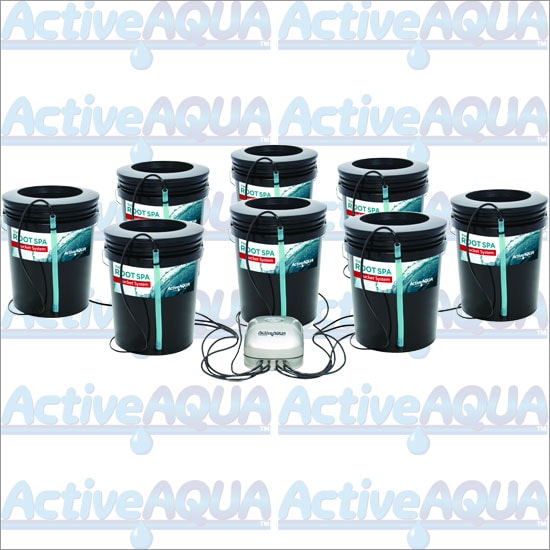 Root Spa 8Bucket System Natural