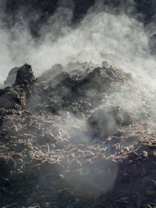 How to Build a Compost Pile Complete Guide with 9 Methods Natural