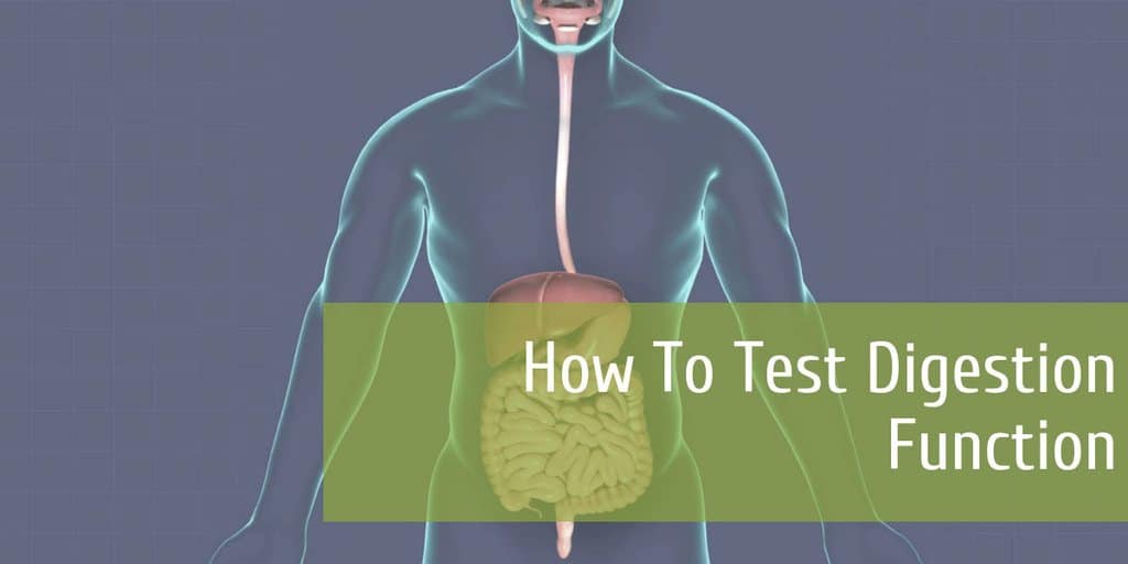 How To Test Digestion Function
