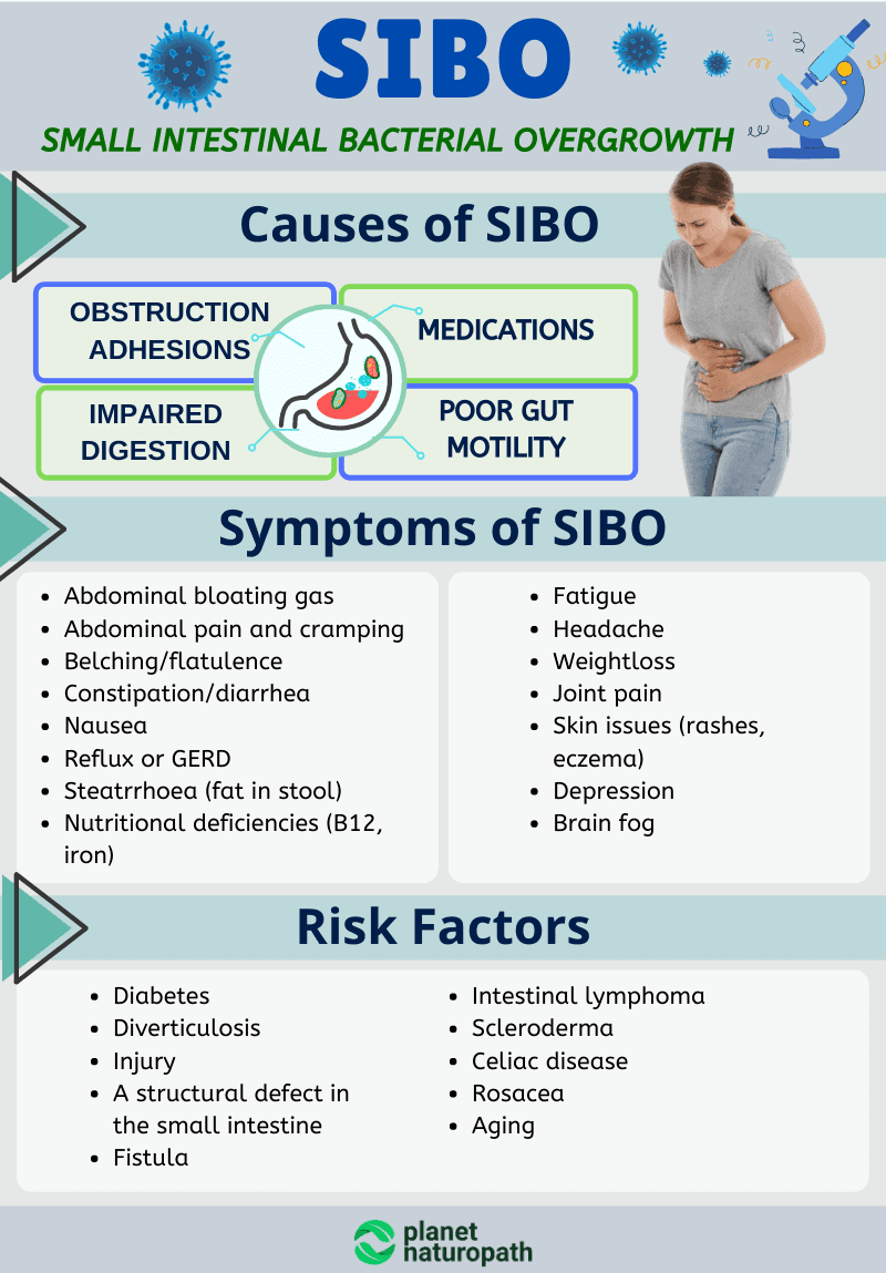 Sibo Guide To Help You Eliminate Ibs Naturopath Free Hot Nude