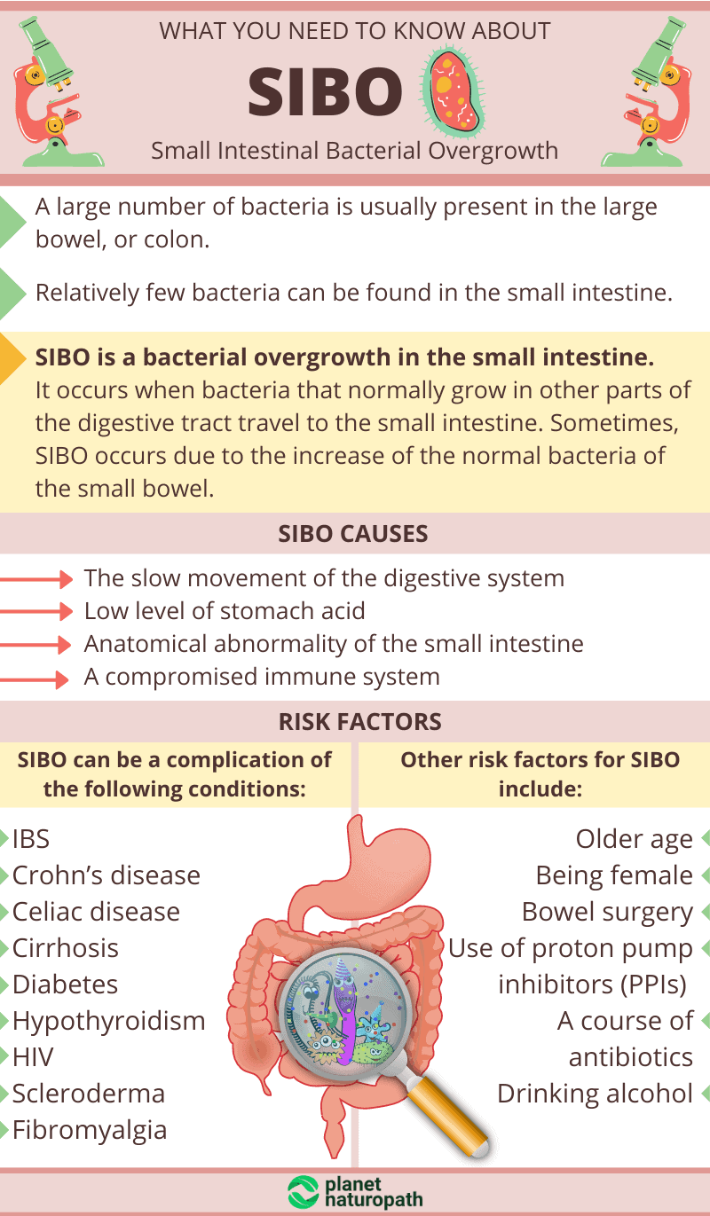 SIBO Testing Is It Worth It?