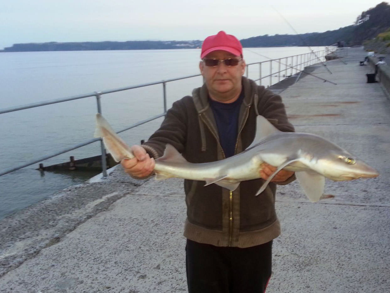 Tenby Open Shore Competition 2013 Sea Fishing