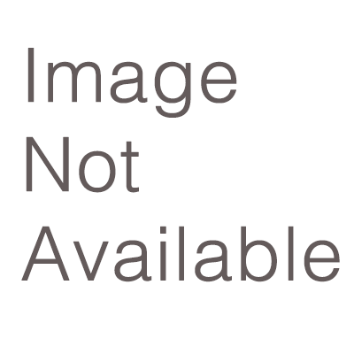 Planning Michigan Conference