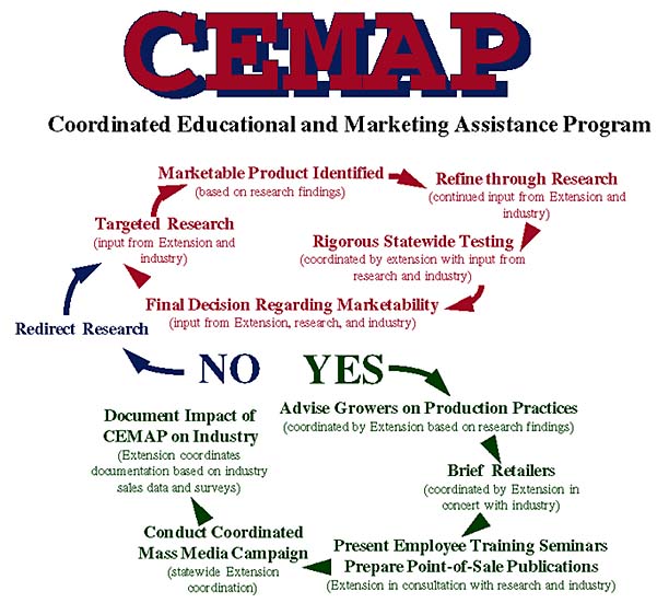 CEMAP