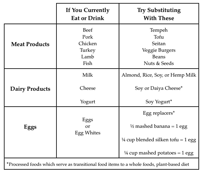 Protein Plant Based Pharmacist