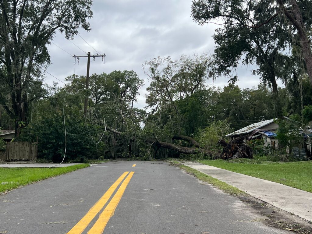 Hurricane Ian Blows Through Plant City Plant City Observer