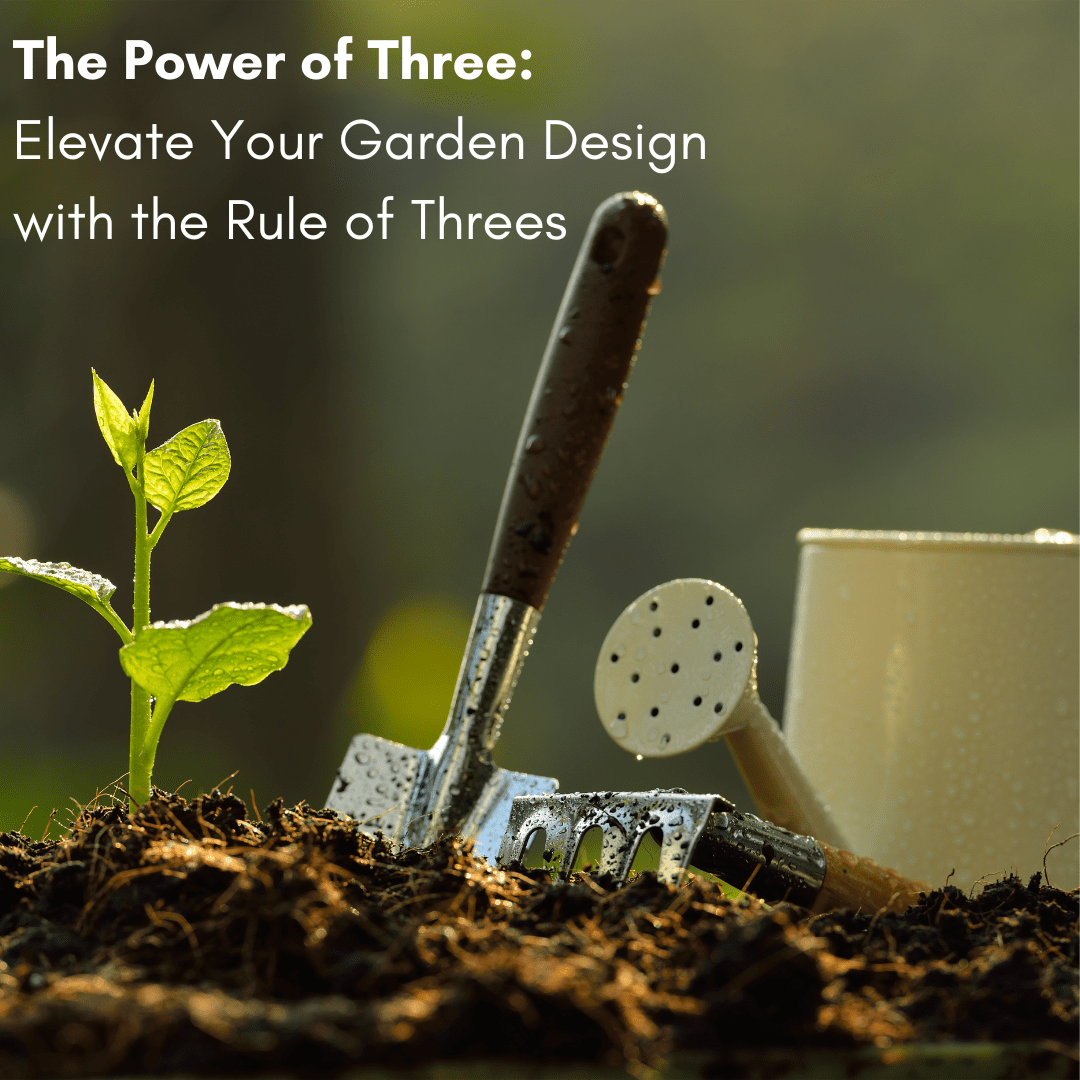 The Power of Three Elevate Your Garden Design with the Rule of Threes