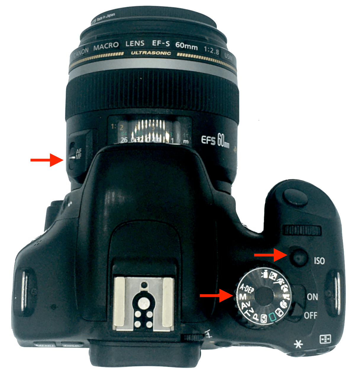 3 Settings and preparation Flower photogrammetry and 3D modeling protocol