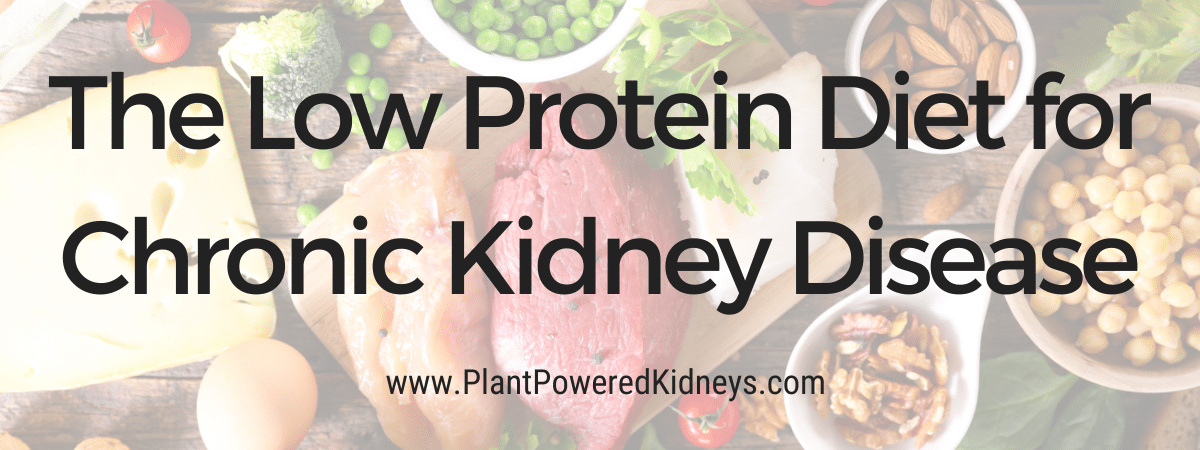 The Low Protein Diet for Kidney Disease: Expert Tips from a Dietitian