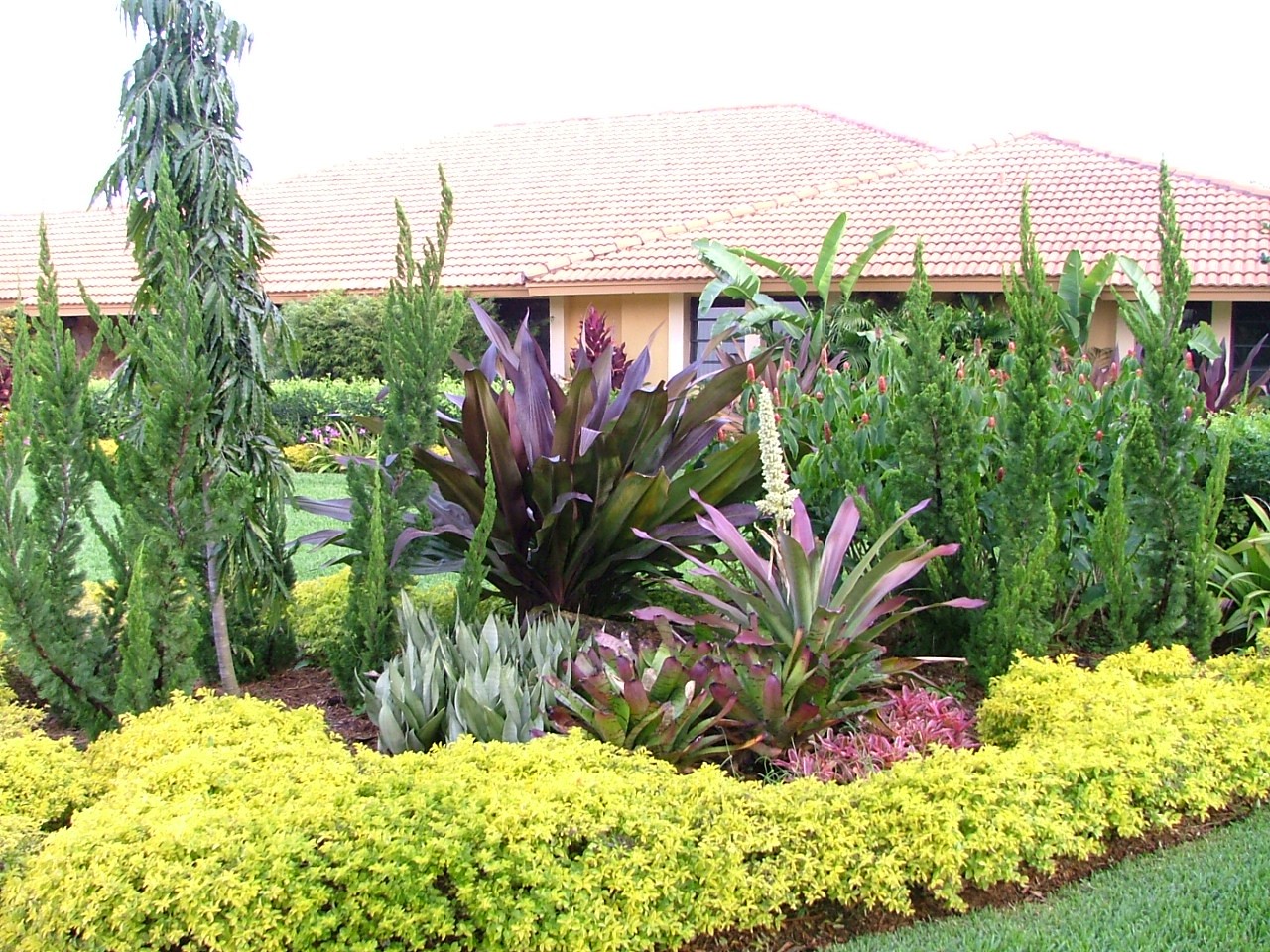 Residential Landscape Design Ideas Near Miami, FL Plant