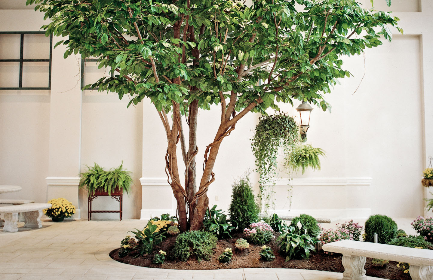 Artificial Indoor Office Plants Faux Silk Plants MN Plantscape LIVE