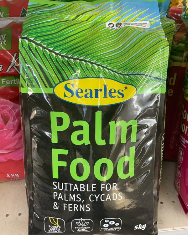 Palm Tree Food Plants for Spaces
