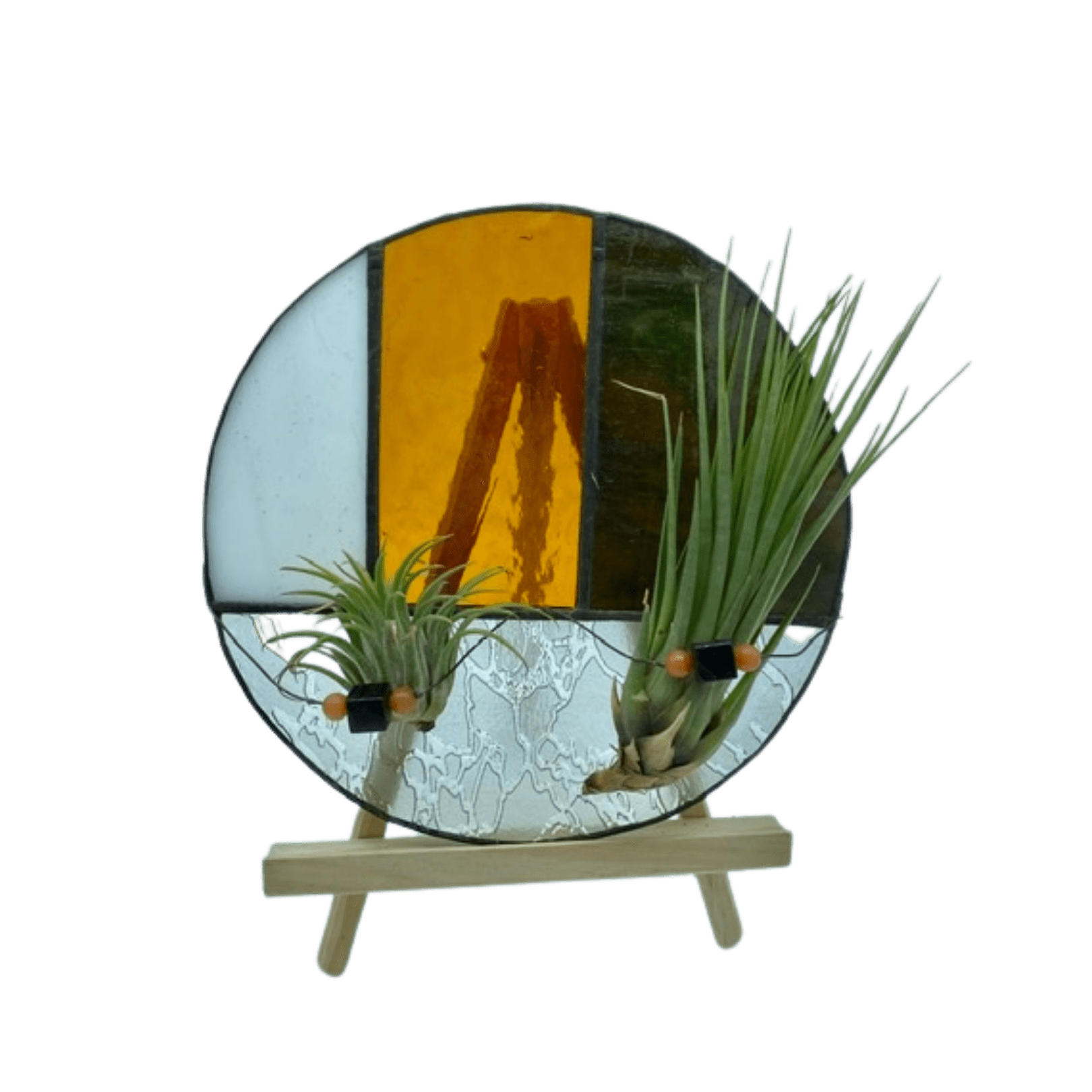 Air Plant Holder Round (Assorted) Plant Van