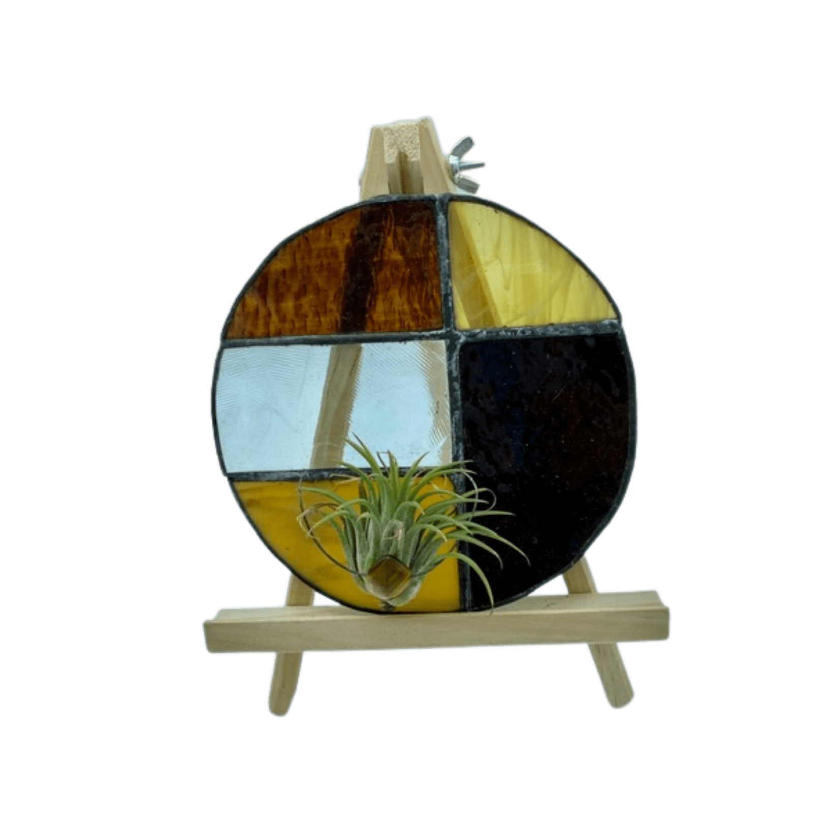 Air Plant Holder Round (Assorted) Plant Van