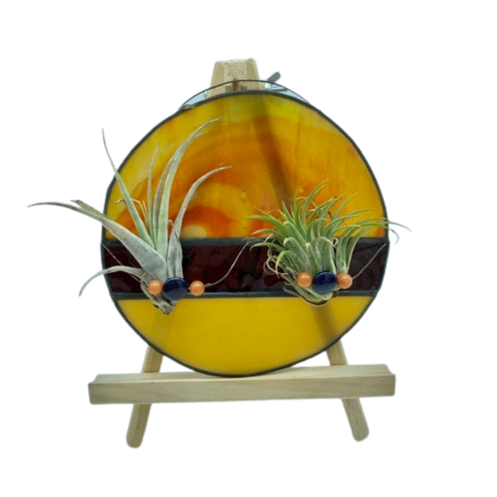 Air Plant Holder Round (Assorted) Plant Van