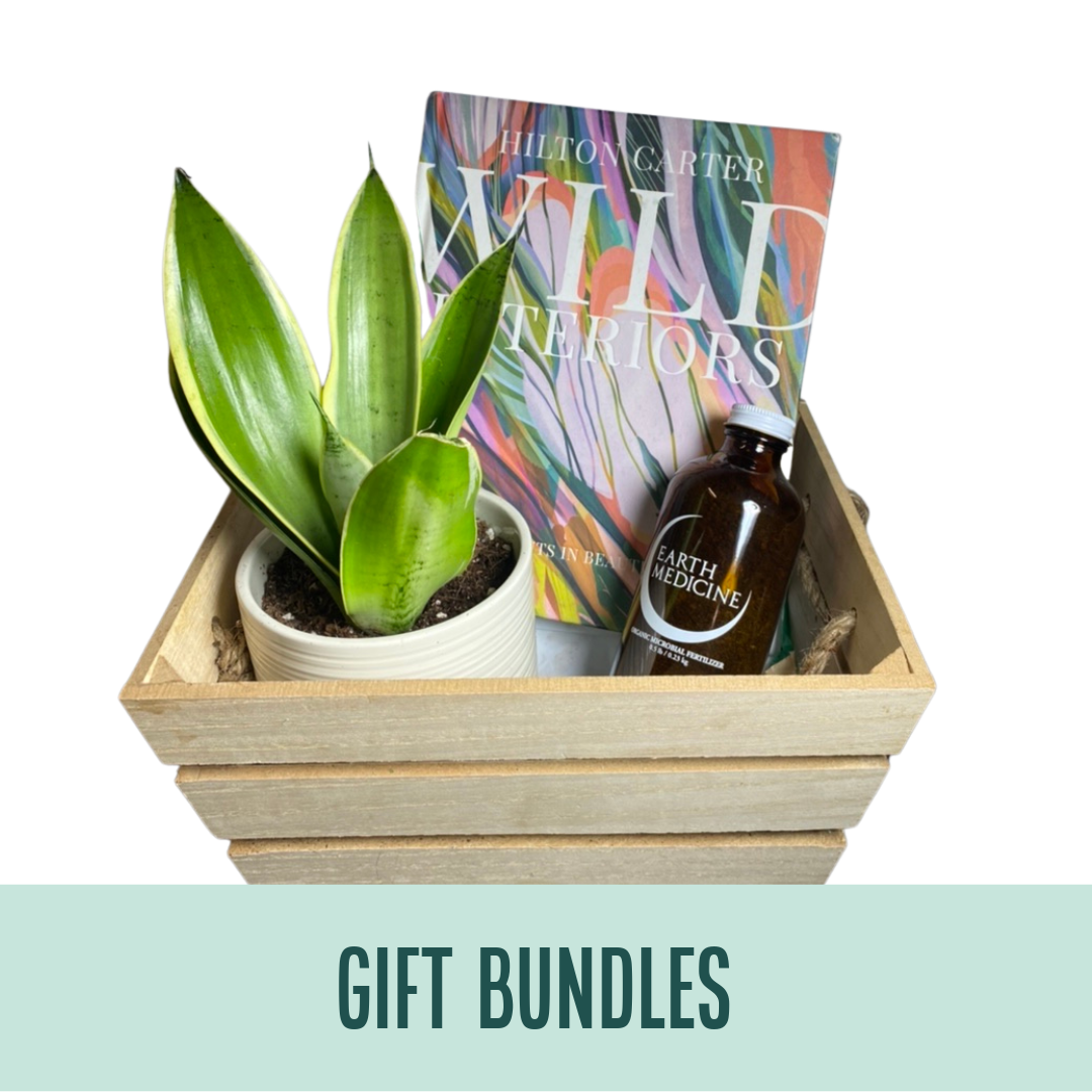 Holiday Gifts Plant Van