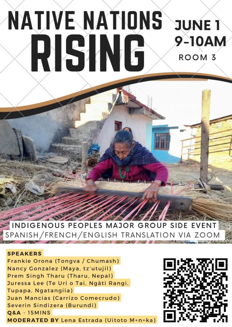 Native Nations Rising INC2 Side Event (Virtual Option)(04)